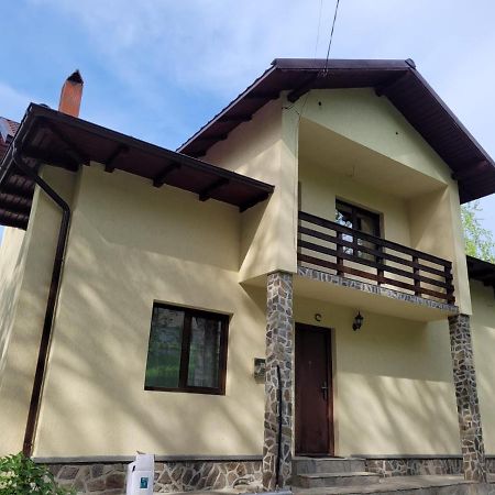 Vila Casa Damian Bertea Exteriér fotografie