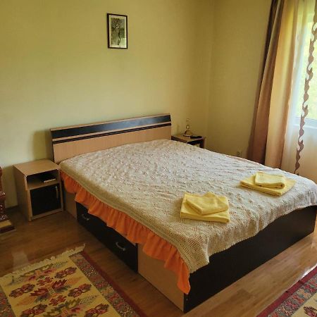 Vila Casa Damian Bertea Exteriér fotografie
