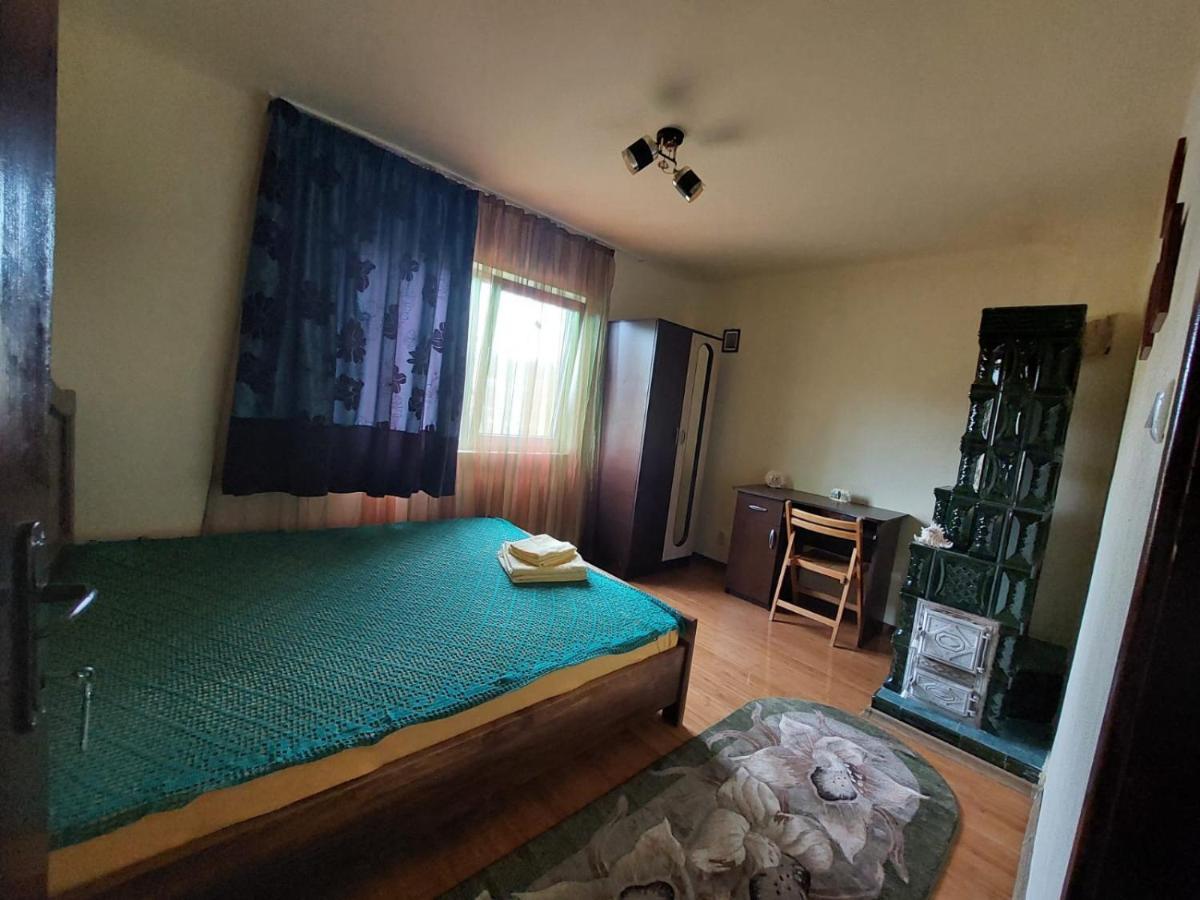 Vila Casa Damian Bertea Exteriér fotografie