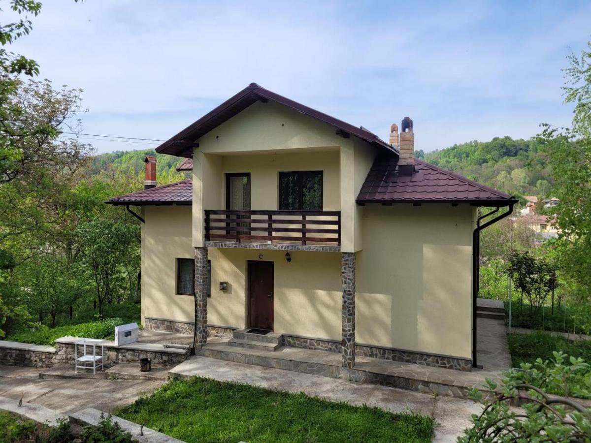 Vila Casa Damian Bertea Exteriér fotografie