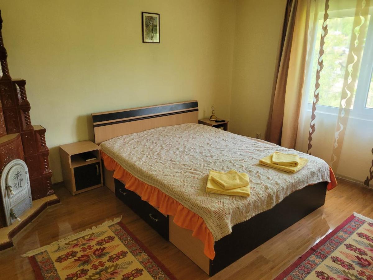 Vila Casa Damian Bertea Exteriér fotografie