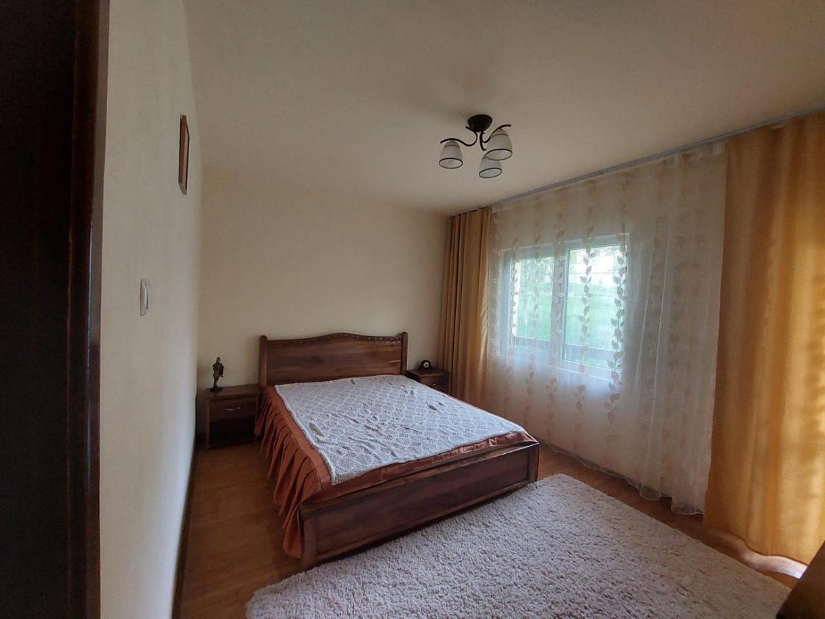 Vila Casa Damian Bertea Exteriér fotografie