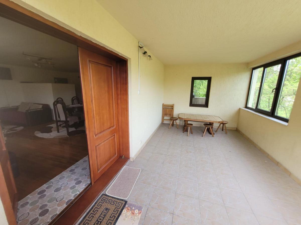 Vila Casa Damian Bertea Exteriér fotografie