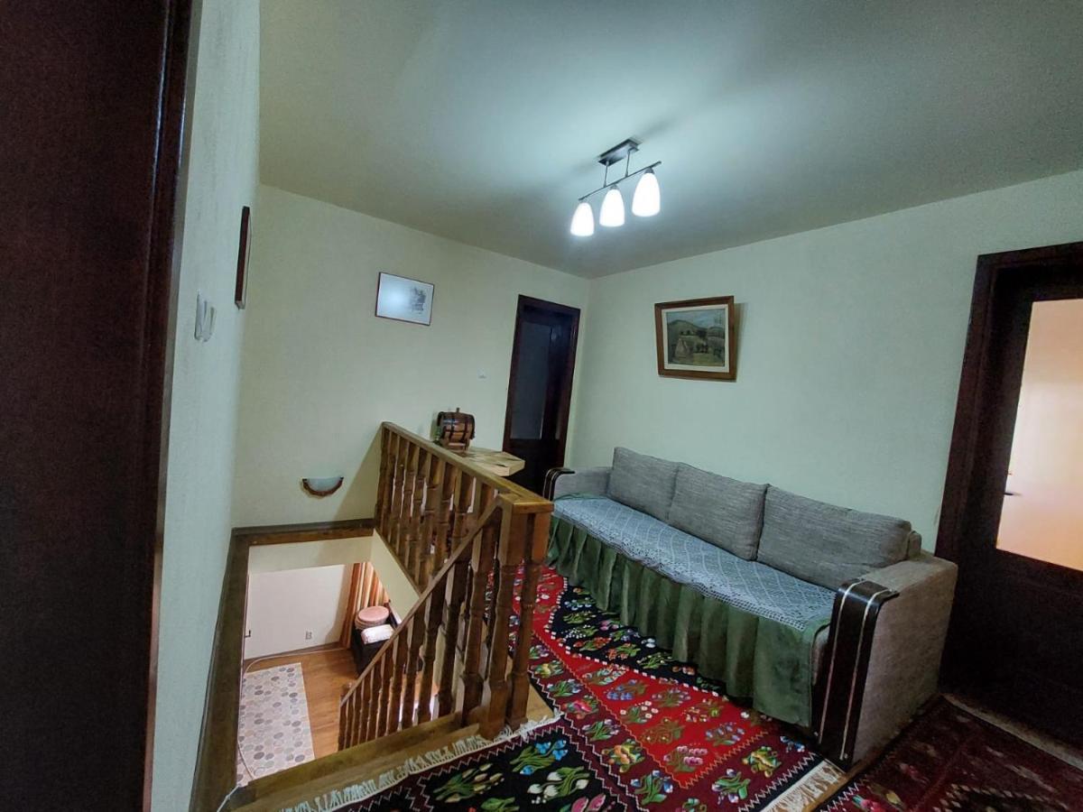 Vila Casa Damian Bertea Exteriér fotografie